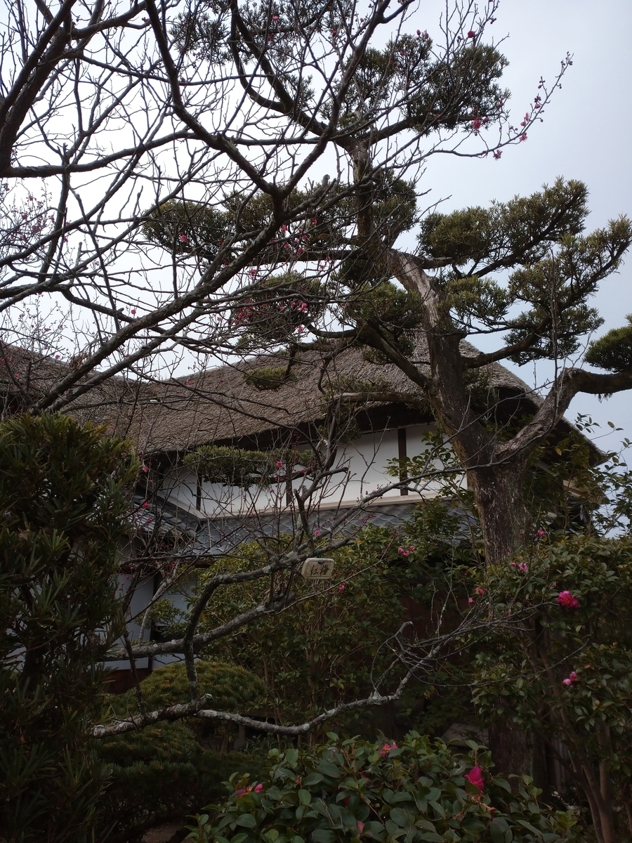f:id:yokichidon:20200131202004j:plain f:id:yokichidon:20200131202004j:plain