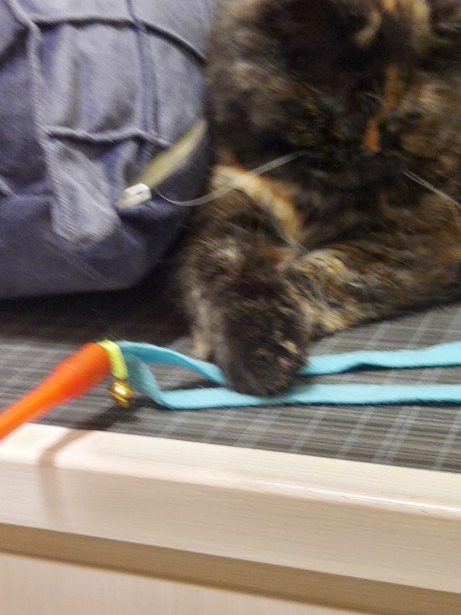 f:id:yoko-777:20220319163442j:plain