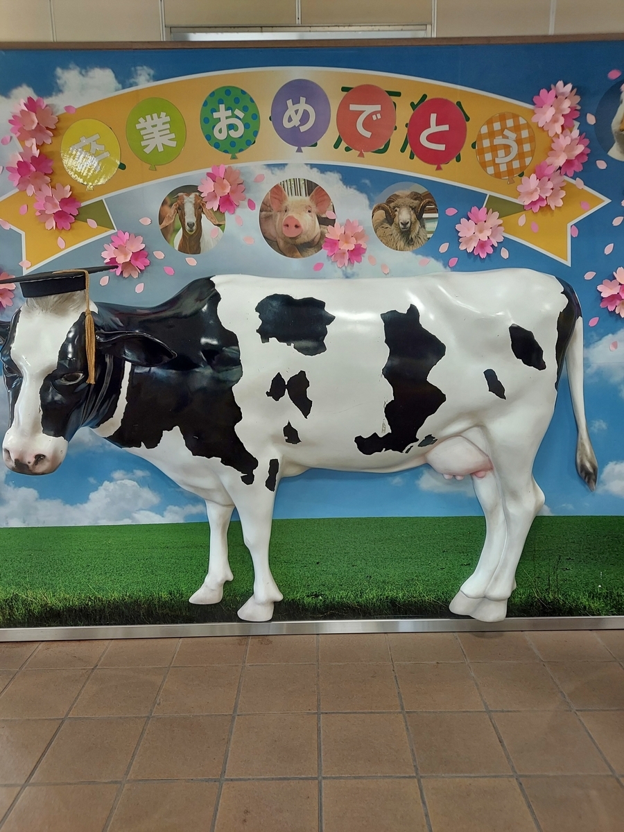 f:id:yoko-777:20220403102627j:plain