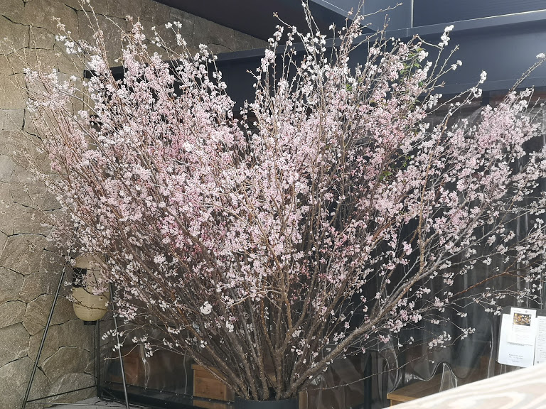 f:id:yoko-sugar:20190319133451j:plain
