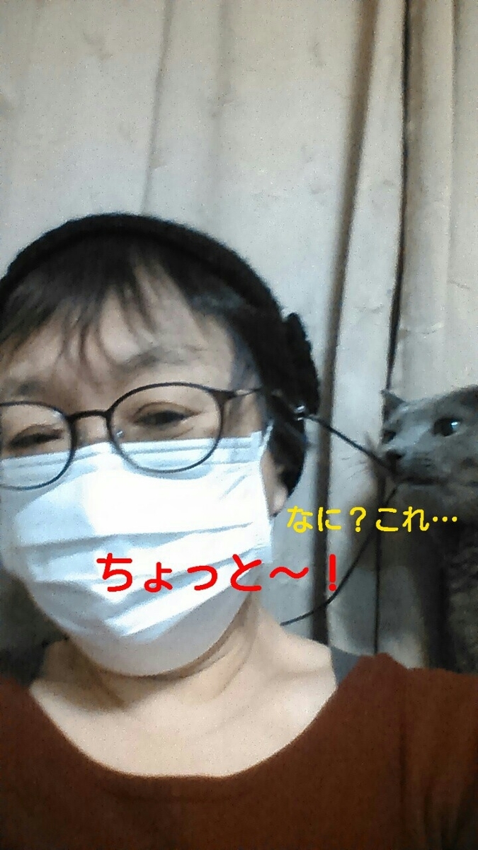 20201010224531