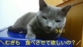 20201012232309