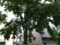 20120705225214