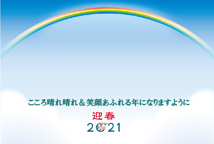 f:id:yoko_asami:20210101151432j:plain