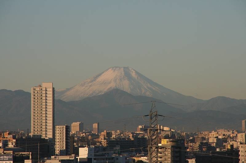 f:id:yoko_asami:20210101152820j:plain