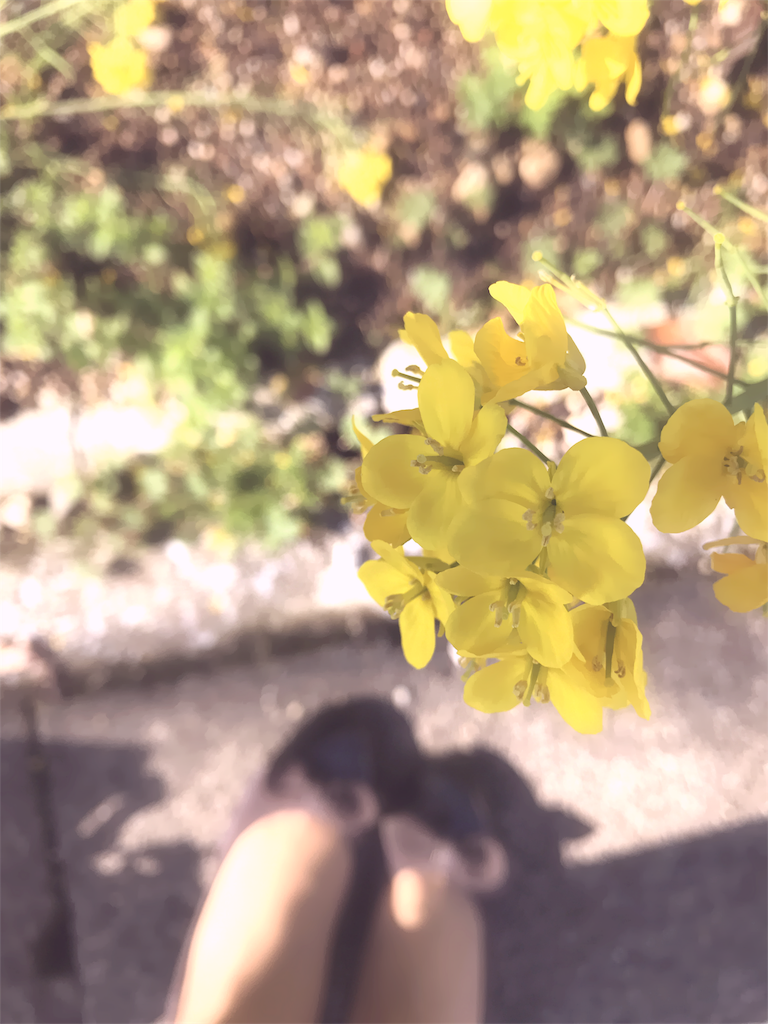 f:id:yoko_t:20170402123857p:image f:id:yoko_t:20170402123857p:image