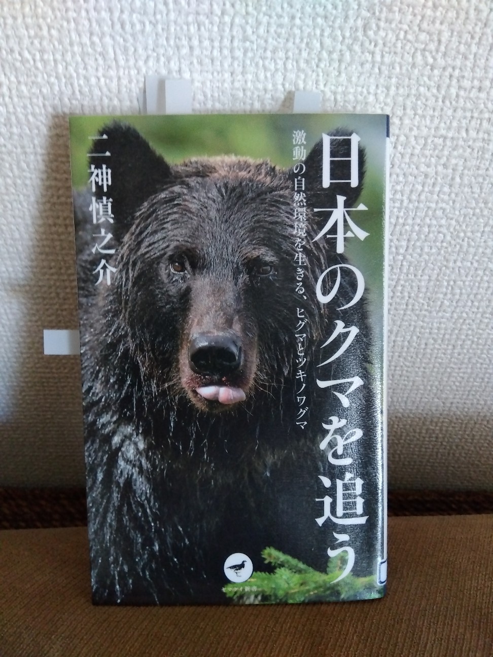 日本のクマを追う』くつろいでるクマも見て - ヤマノナcafe
