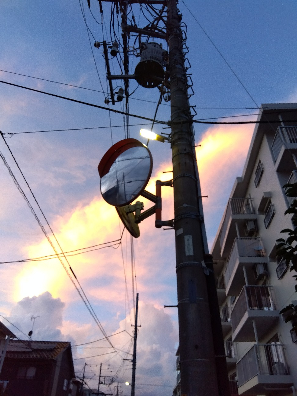 f:id:yoko_tak:20260823205954j:image f:id:yoko_tak:20260823205954j:image