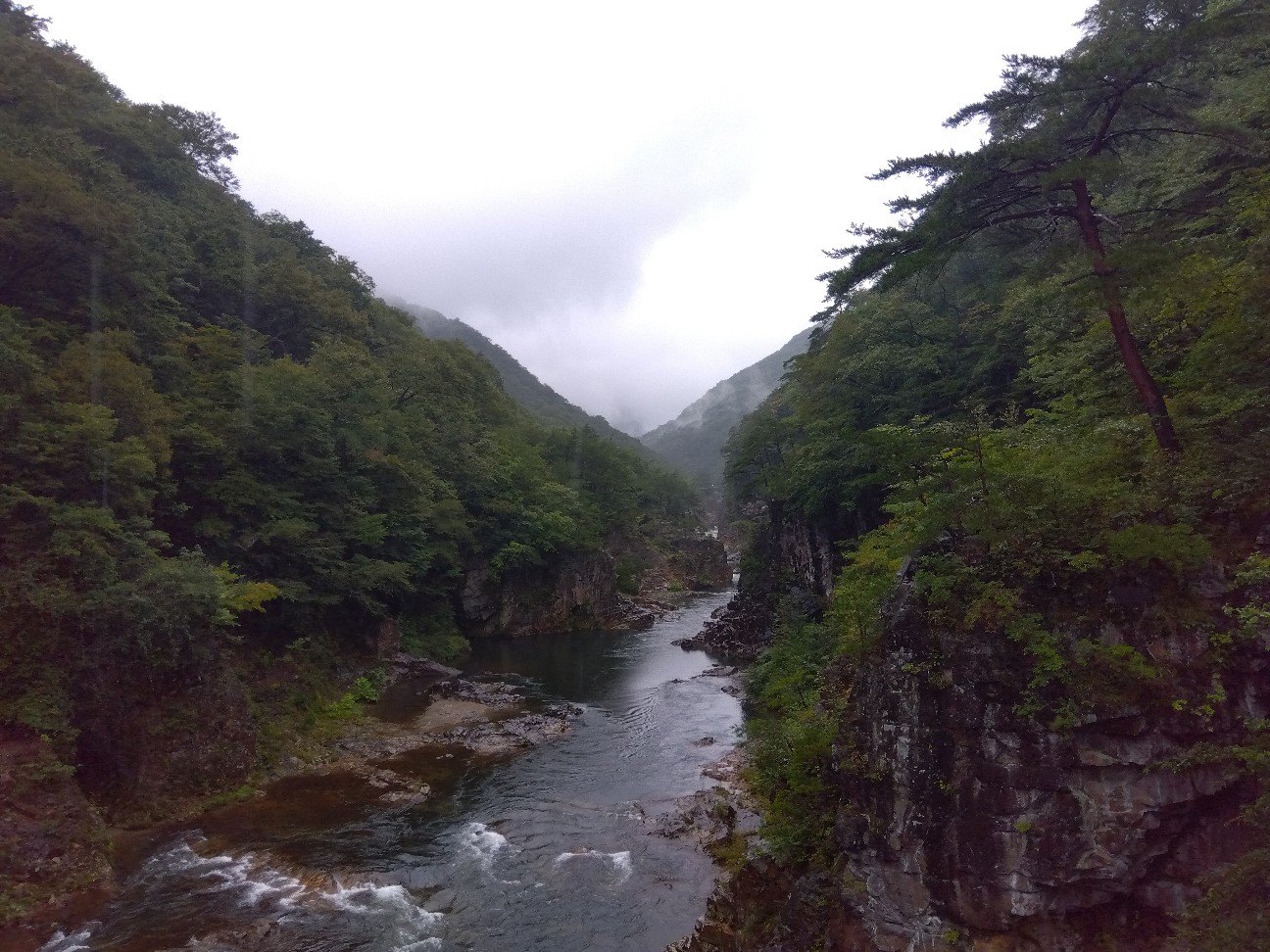 f:id:yoko_tak:20260903194929j:image f:id:yoko_tak:20260903194929j:image