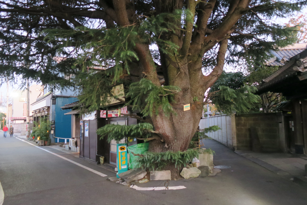 f:id:yokobentaro:20171121200942j:plain