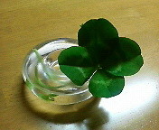 f:id:yokohama-kukan:20090501164845j:image f:id:yokohama-kukan:20090501164845j:image