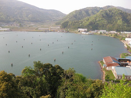 f:id:yokohamamarinos1993:20111010160033j:image