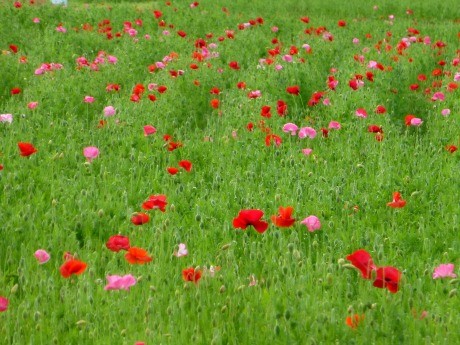 f:id:yokohamamarinos1993:20120818095851j:image