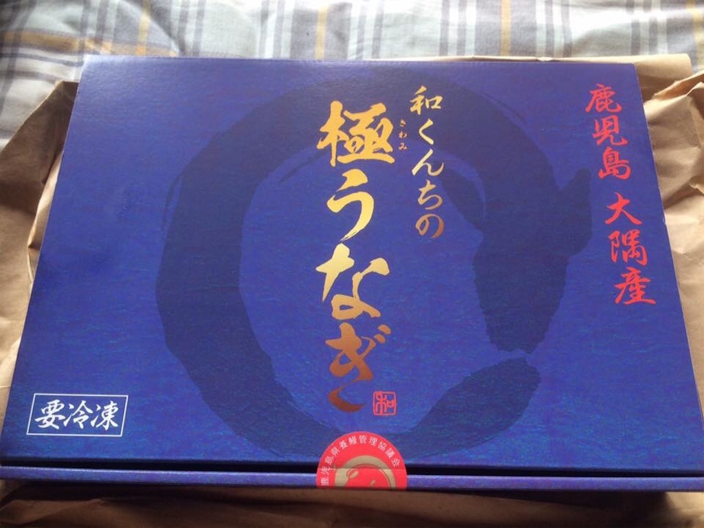 f:id:yokohamamiuken:20190101232904j:image