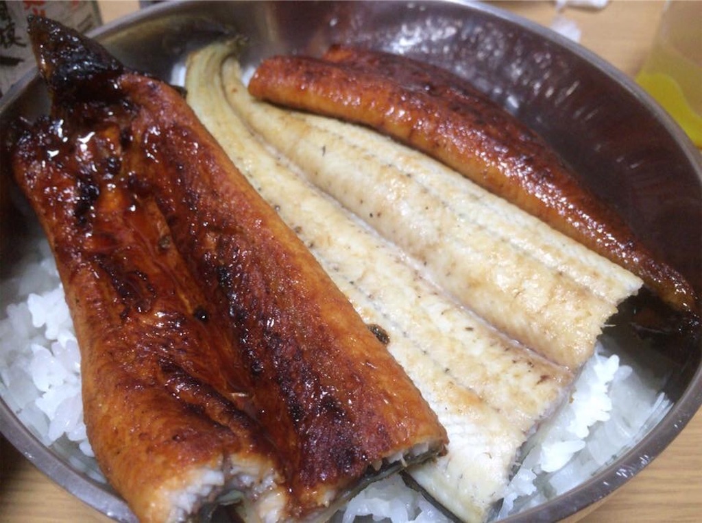 f:id:yokohamamiuken:20190101232912j:image