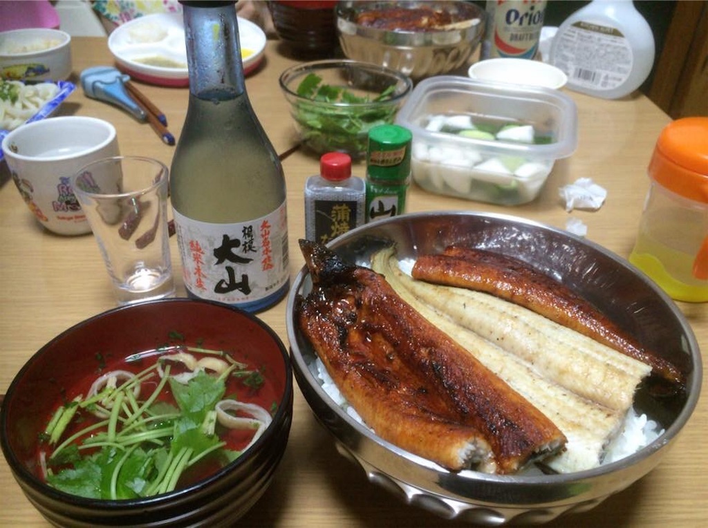 f:id:yokohamamiuken:20190101232917j:image