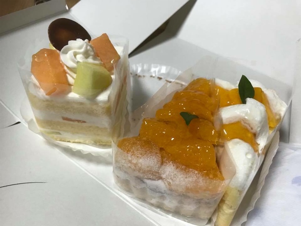 f:id:yokohamamiuken:20190125221027j:image