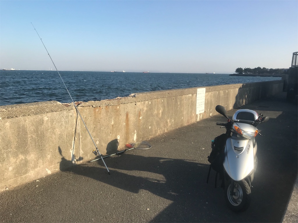f:id:yokohamamiuken:20190129214402j:image