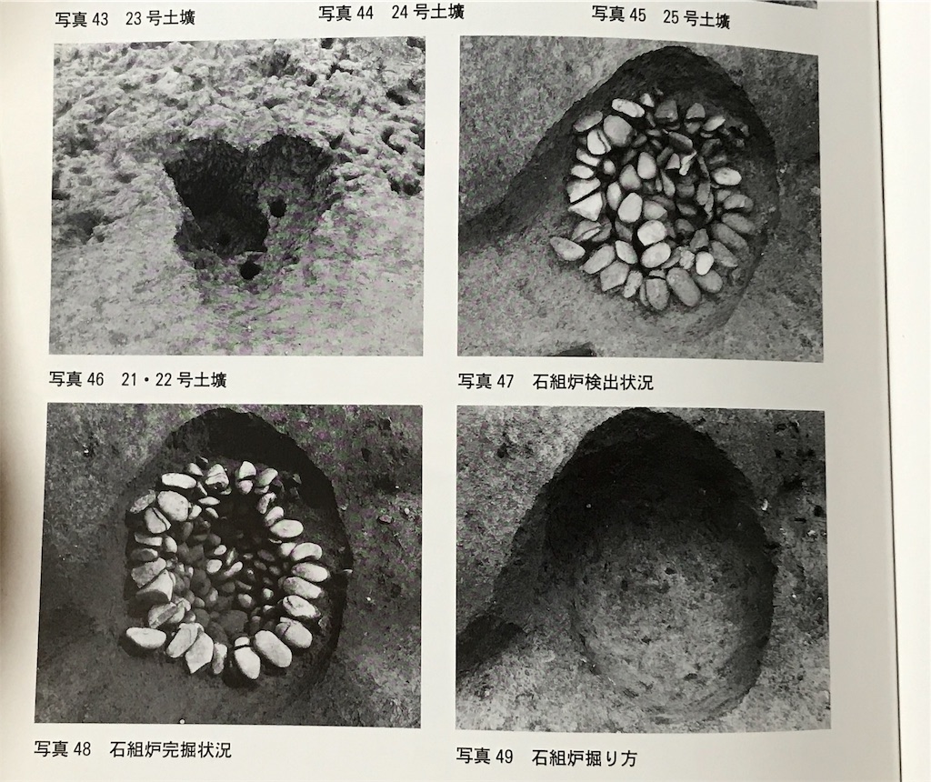 f:id:yokohamamiuken:20190315000529j:image