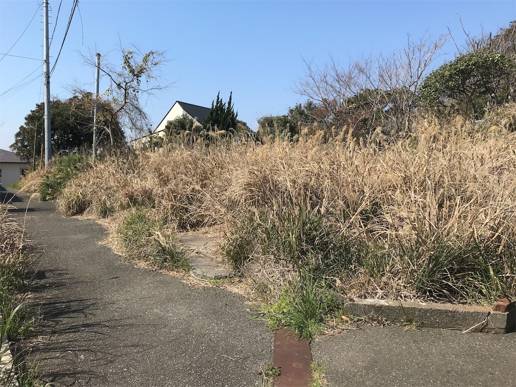 f:id:yokohamamiuken:20190315224217j:image