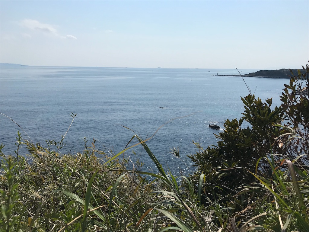 f:id:yokohamamiuken:20190315224234j:image