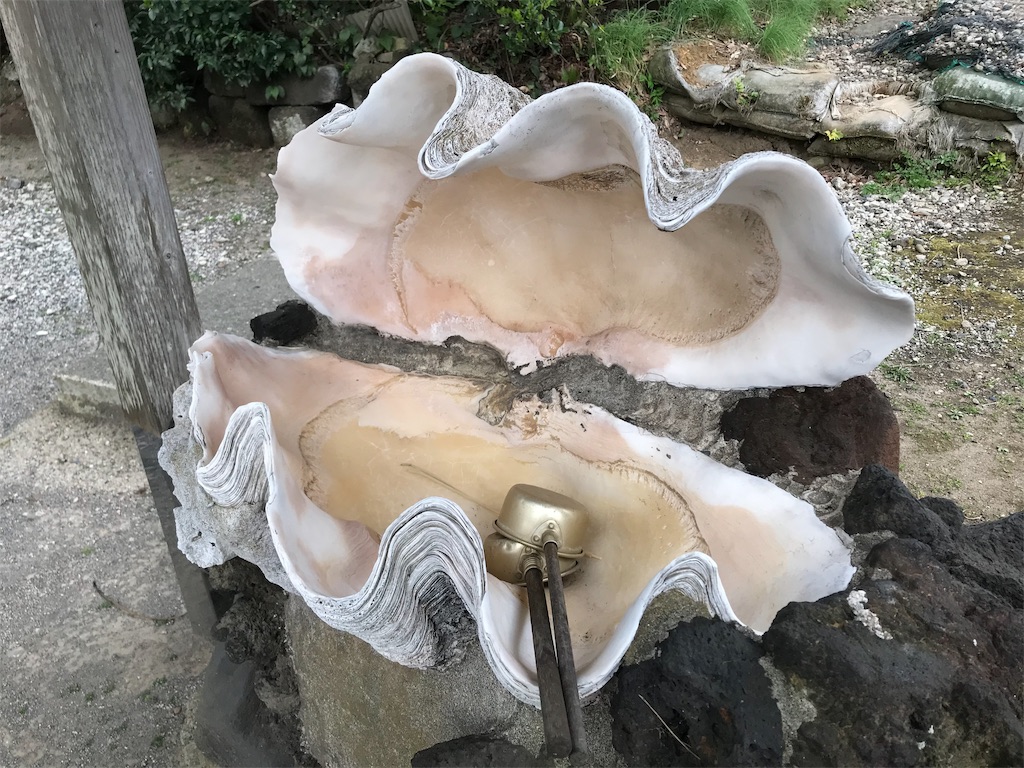 f:id:yokohamamiuken:20190315225531j:image f:id:yokohamamiuken:20190315225531j:image