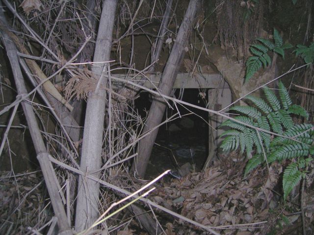 f:id:yokohamamiuken:20190320000547j:plain