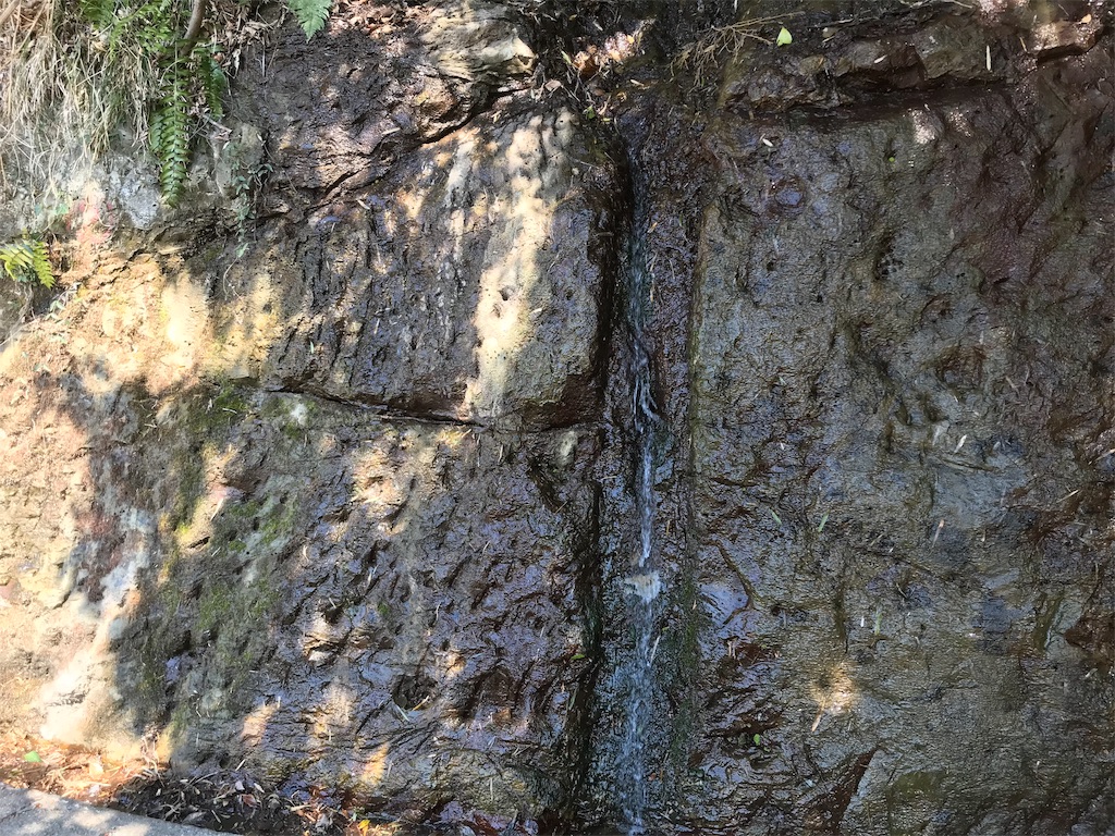 f:id:yokohamamiuken:20190404012621j:image