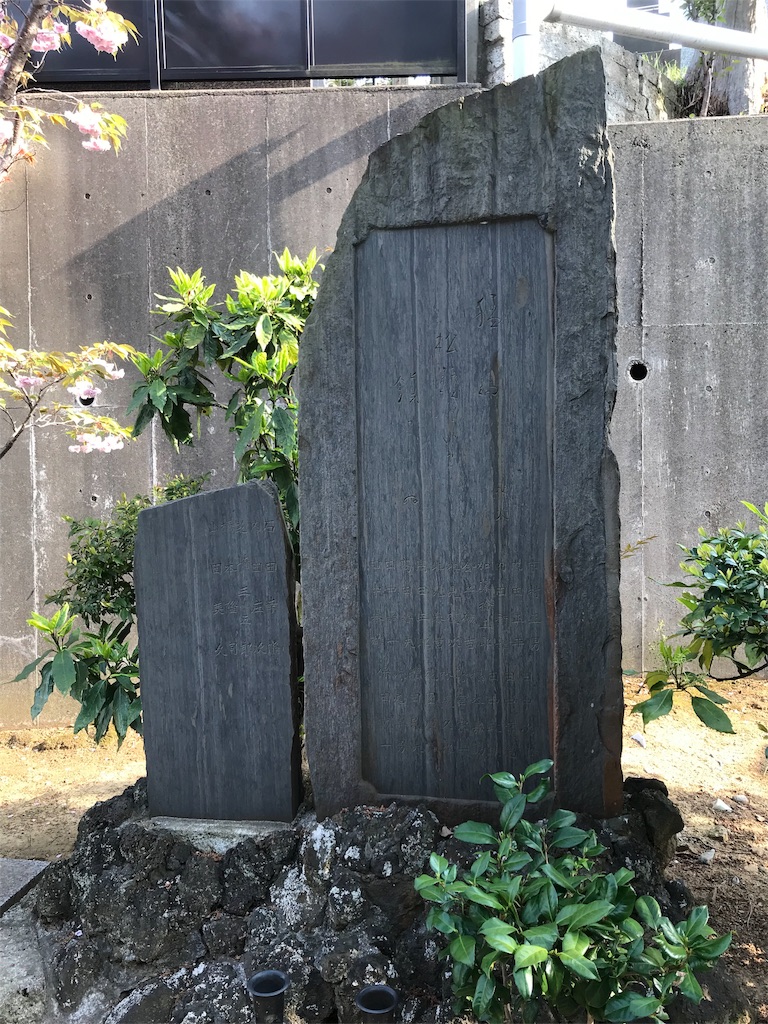 f:id:yokohamamiuken:20190421081232j:image