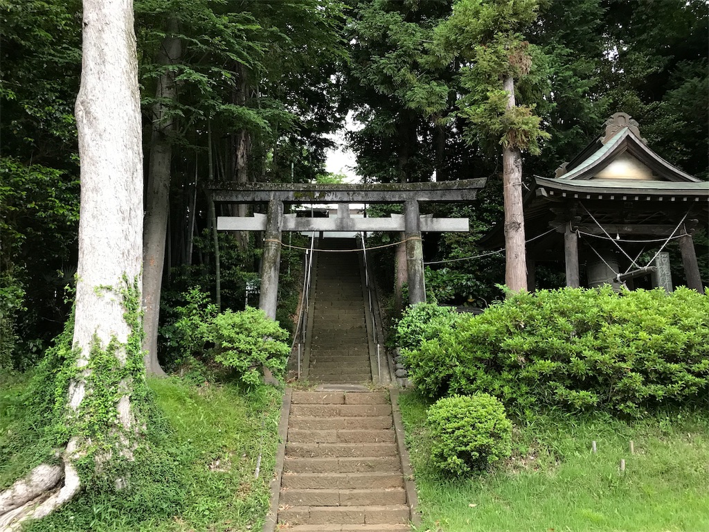 f:id:yokohamamiuken:20190529211700j:image