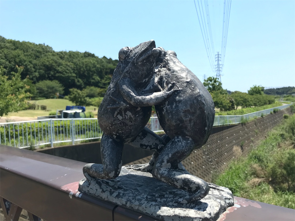 橋の欄干で繰り広げられる見るも楽しきカエル相撲（藤沢市） - みう