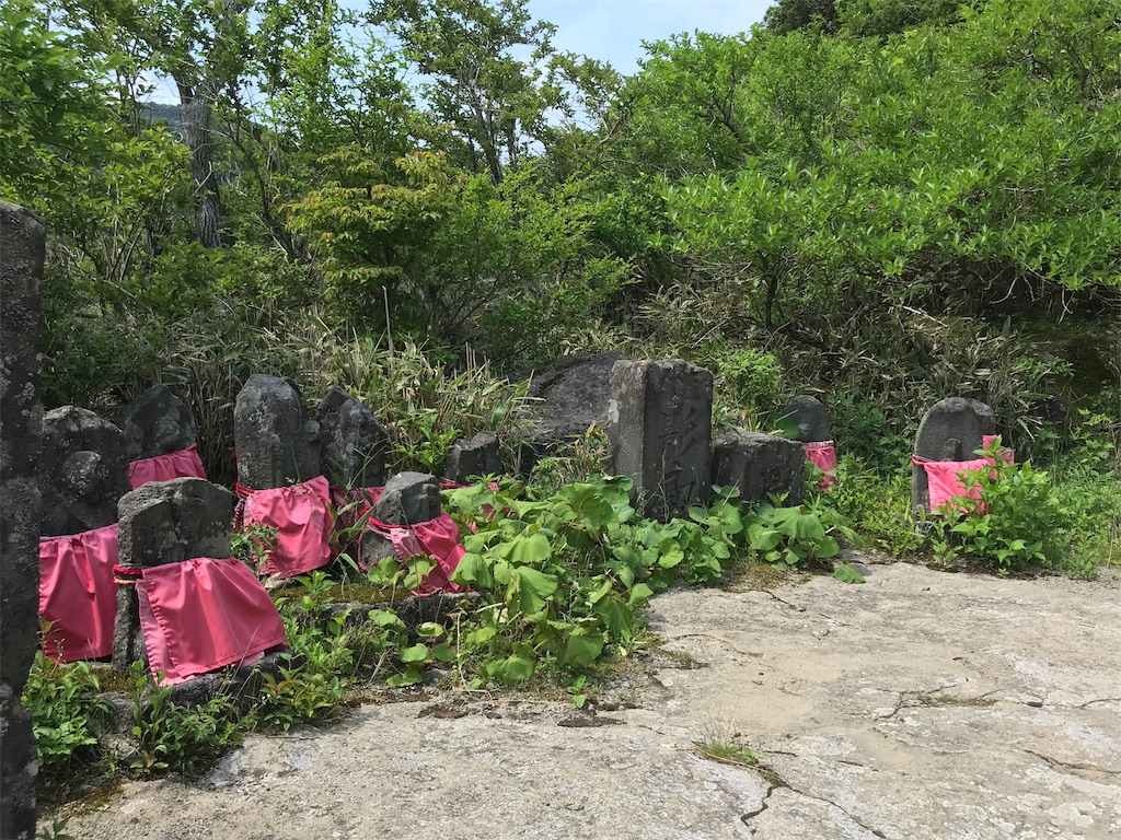 f:id:yokohamamiuken:20190607075123j:image