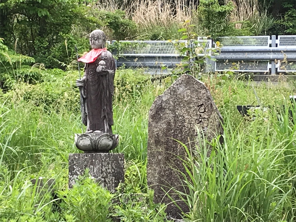 f:id:yokohamamiuken:20190607075240j:image
