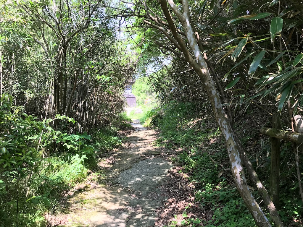 f:id:yokohamamiuken:20190607075518j:image