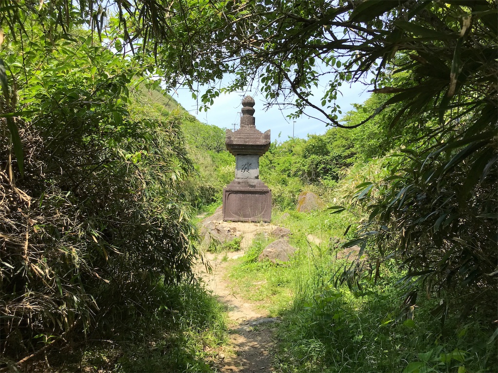 f:id:yokohamamiuken:20190607075604j:image