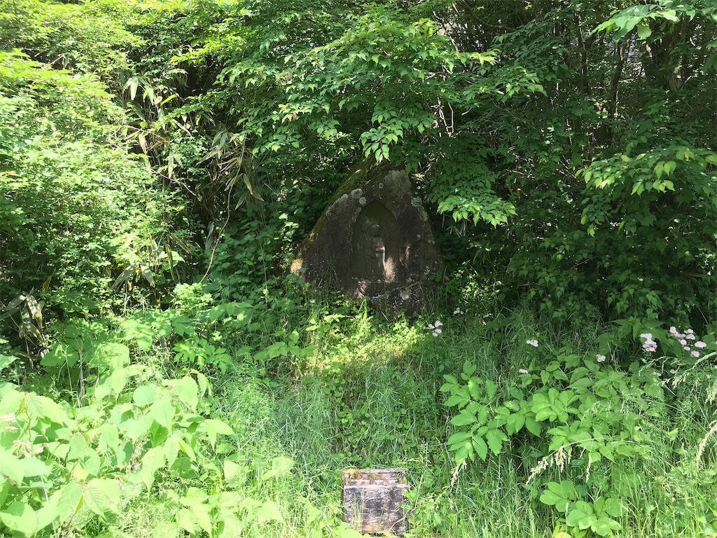 f:id:yokohamamiuken:20190607075714j:image f:id:yokohamamiuken:20190607075714j:image
