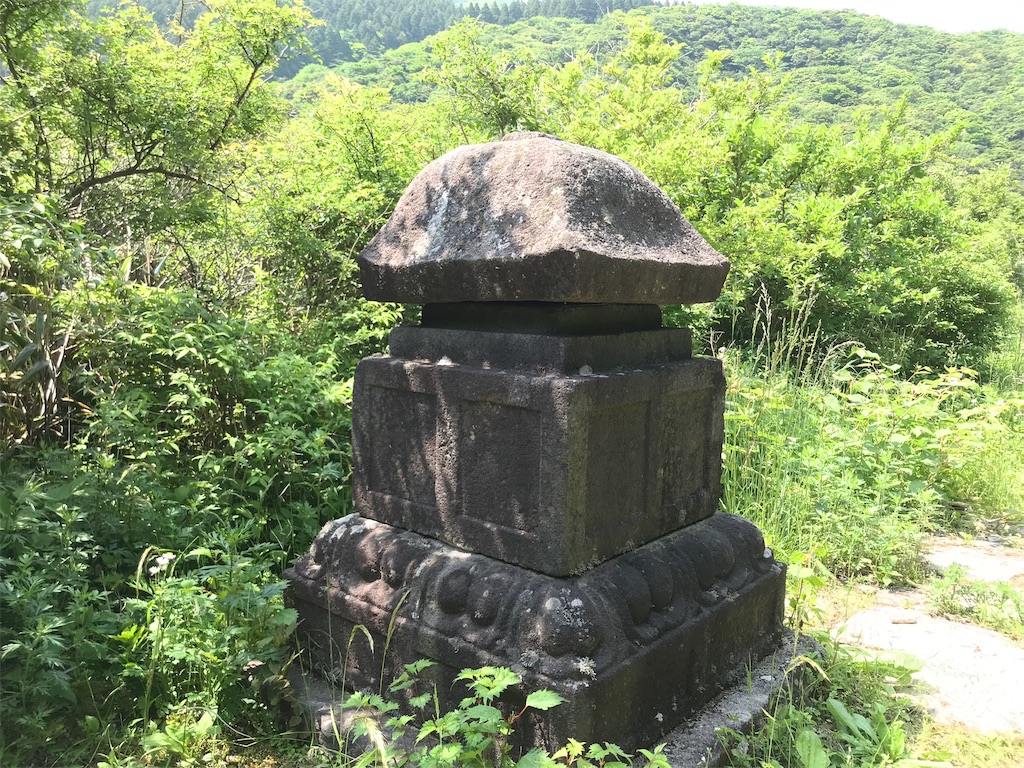 f:id:yokohamamiuken:20190607080606j:image f:id:yokohamamiuken:20190607080606j:image