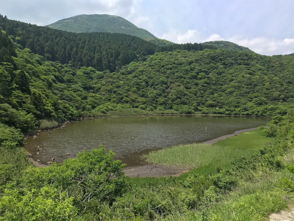 f:id:yokohamamiuken:20190607080724j:image
