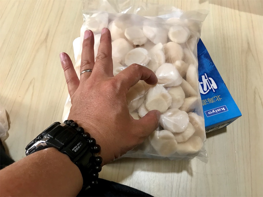 f:id:yokohamamiuken:20190618174712j:image