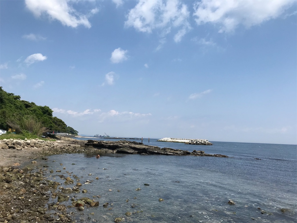 f:id:yokohamamiuken:20190620094007j:image