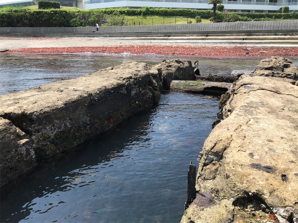 f:id:yokohamamiuken:20190620094017j:image