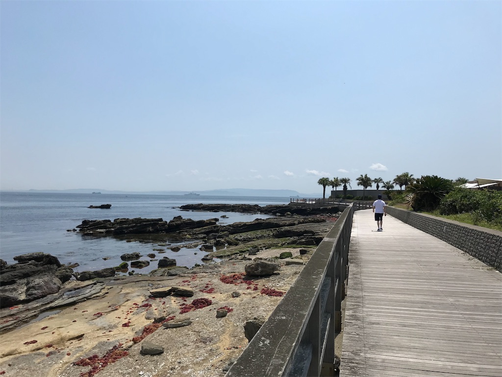 f:id:yokohamamiuken:20190620094027j:image