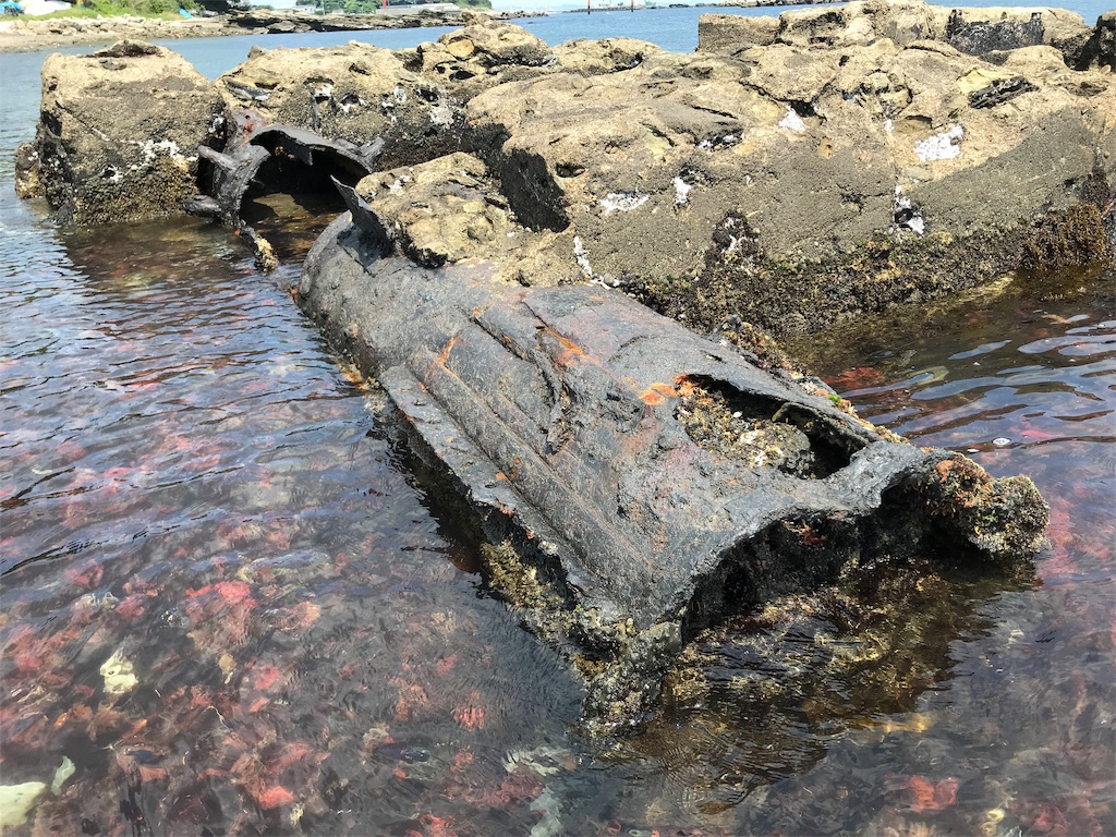 f:id:yokohamamiuken:20190620094030j:image