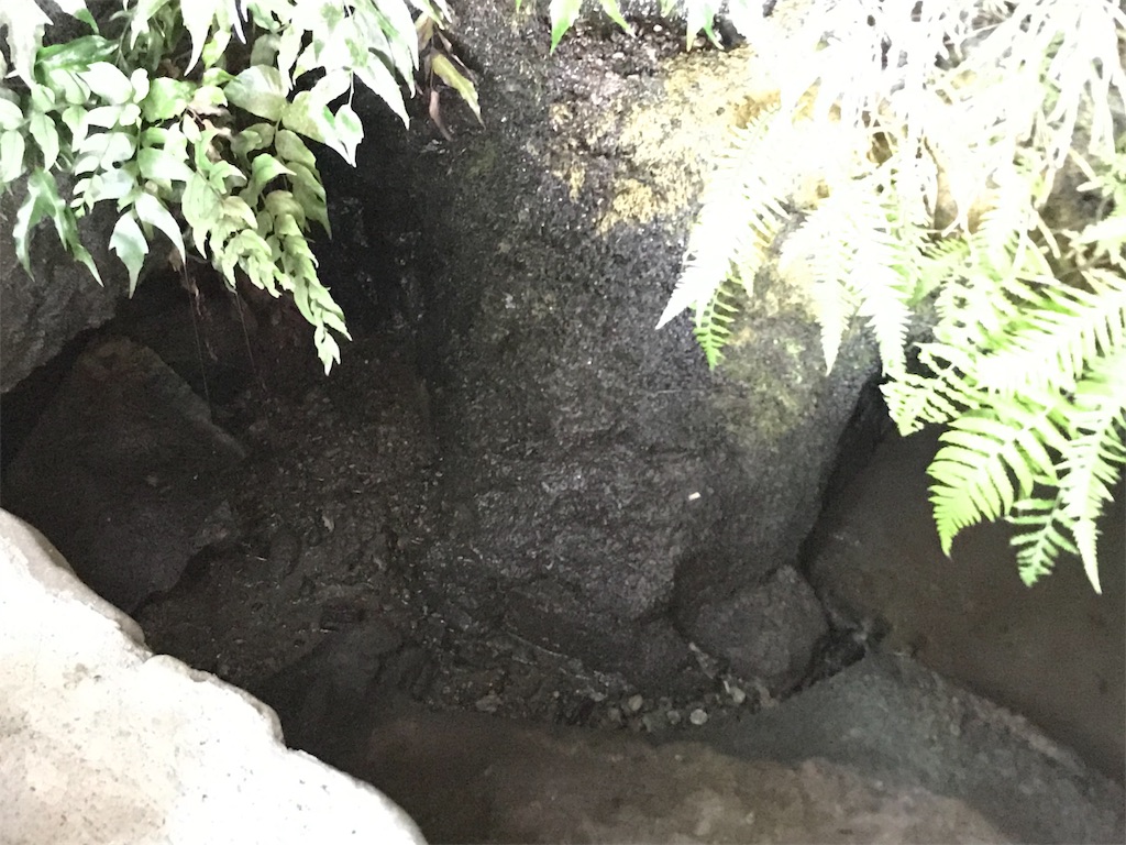 f:id:yokohamamiuken:20190920184920j:image