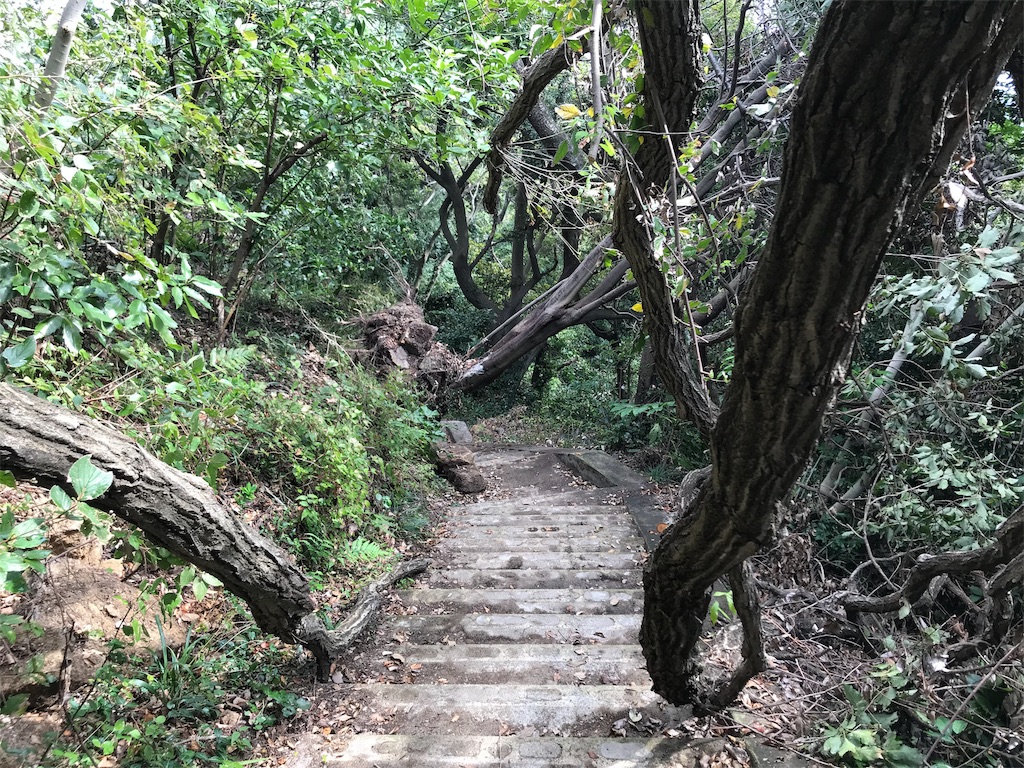 f:id:yokohamamiuken:20191004083331j:image