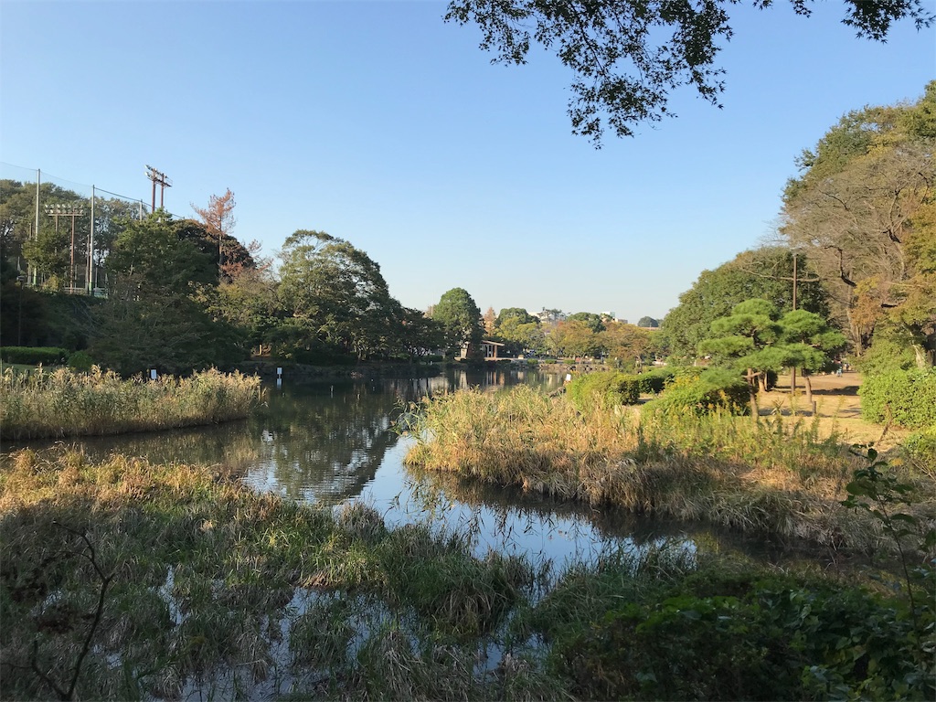 f:id:yokohamamiuken:20191101172904j:image