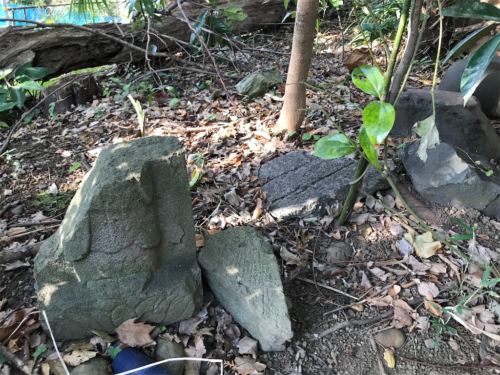 f:id:yokohamamiuken:20191114135511j:image
