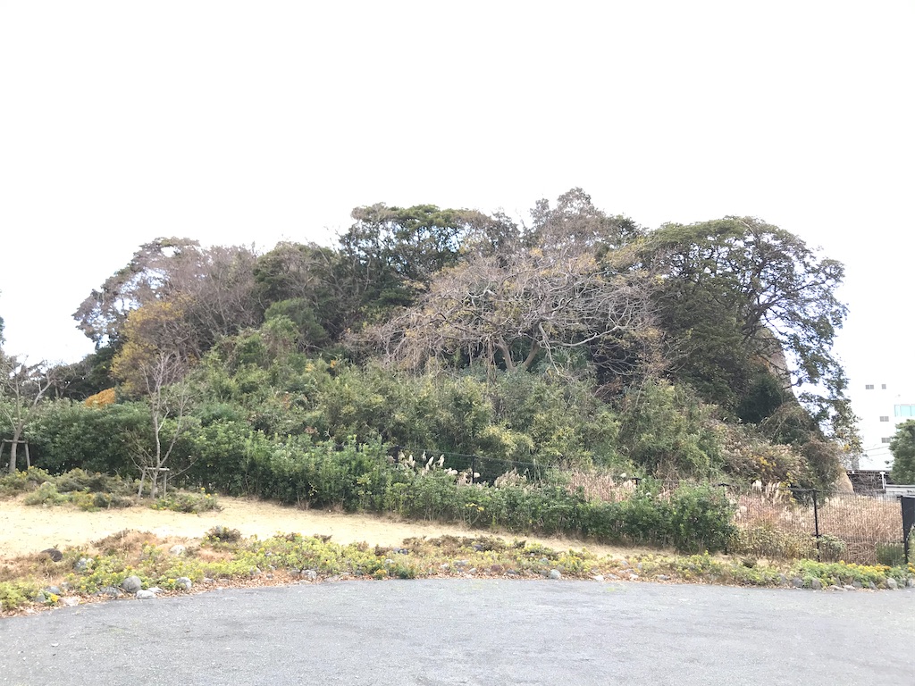 f:id:yokohamamiuken:20191227225031j:image