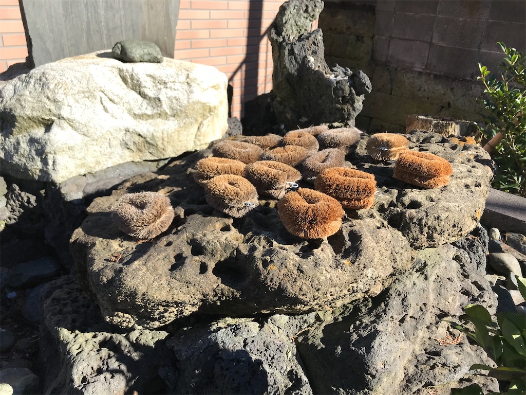 f:id:yokohamamiuken:20191227225935j:image