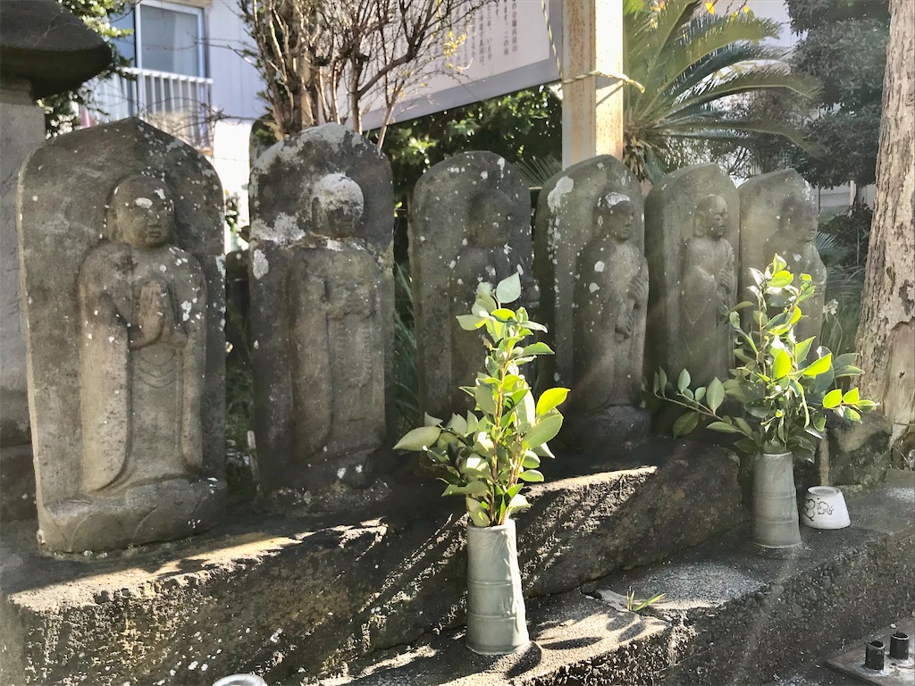 f:id:yokohamamiuken:20200130214535j:image